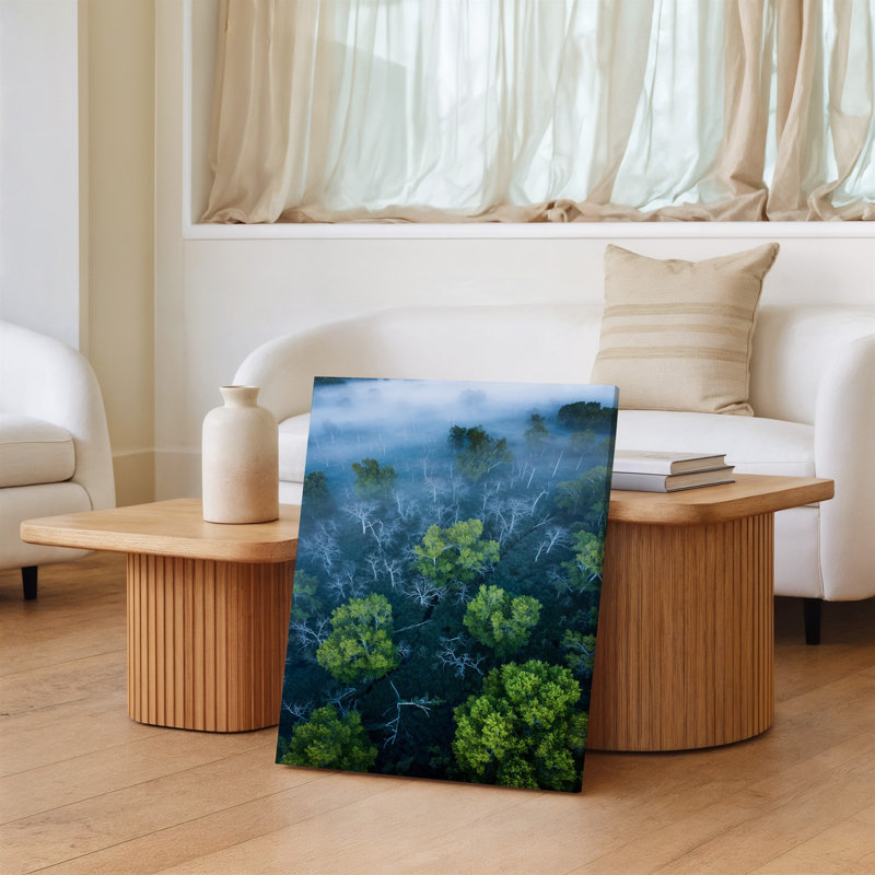 Toile, vue aérienne d'un paysage de marais dense présentant un art mural en réseau de branches d'arbres dénudées torsadées entrecoupées de toile vibrante