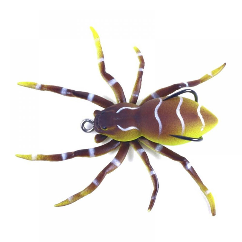 Appât Bait Spider, Brun