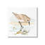 «Sandpiper Sandor» par Victoria Barnes-93958121-93958122
