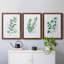 «Freshly Picked I», ensemble de 3 reproductions d'art sur toile-1825290764-1825290763