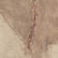 Burro Marron Painting by Paul Meyer-2135205445