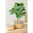 Set Of 2 Rectangular Basket Planters With Geometric Trim, L:10.5X8.5X8" S:7.5X5.5X6.5"