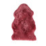 Raspberry
