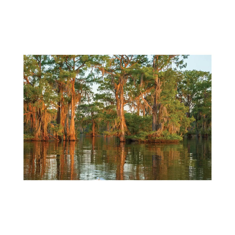 USA, Louisiana, Atchafalaya National Wildlife Refuge. Sunrise On Swamp. by Jaynes Gallery - Wrapped Canvas Gallery-Wrapped Canvas Giclée