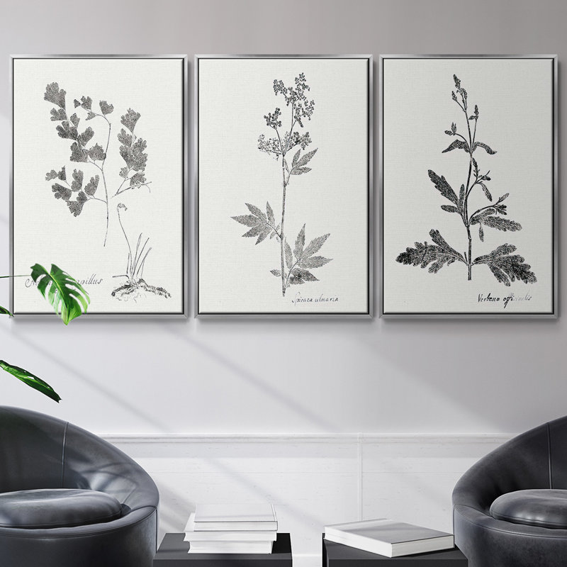 Botanical Imprint I 3 pièces, H 27 po x l 54 po, Argent