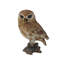 Statue hibou on souches