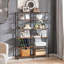 Anastatius 170 cm H x 120 cm W Standard Bookcase