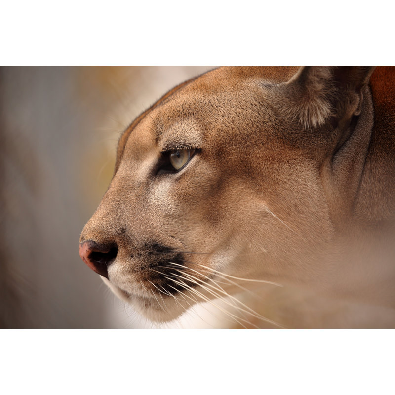 Mountain Mountain par Heckepics - Photographie sur toile tendue, L 12 po x H 8 po
