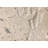 6'' x 6'' Compressed Stone Medallion