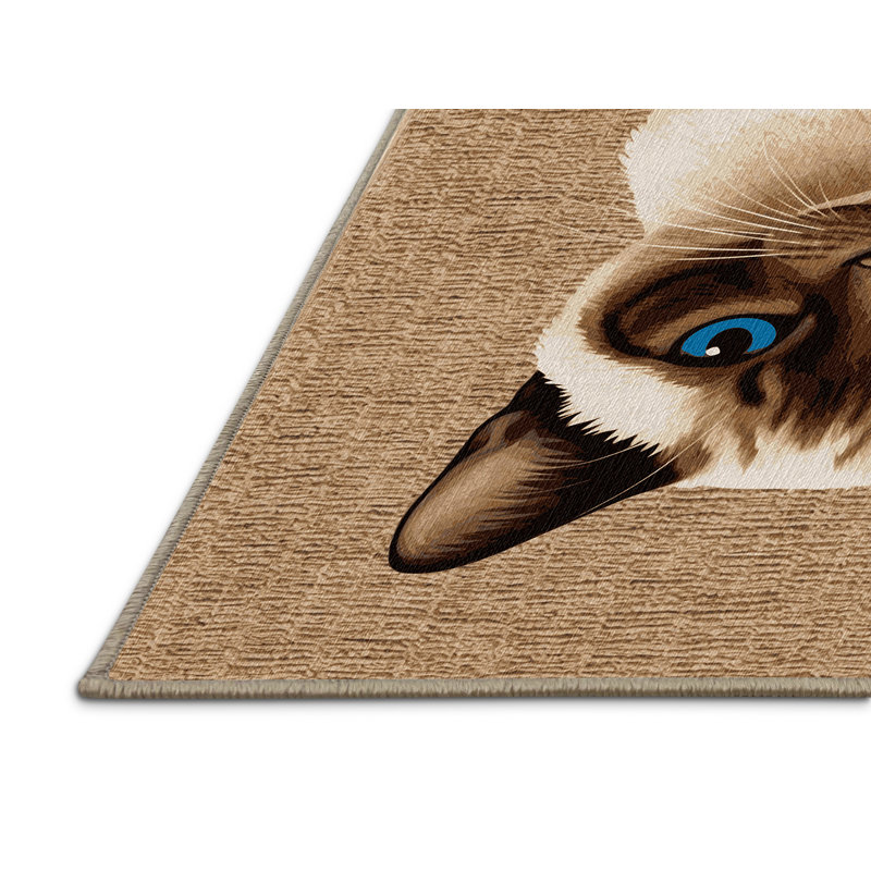  Tapis lavable avec raquettes, Rond 6 pi