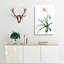 Amaryllis Broussonetii Flowers - Wrapped Canvas-55368475