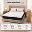 Matelas hybride mi-ferme 12 po avec ressorts ensachés individuellement, isolement de mouvement et mousse certifiée CertiPUR-US®-402615999