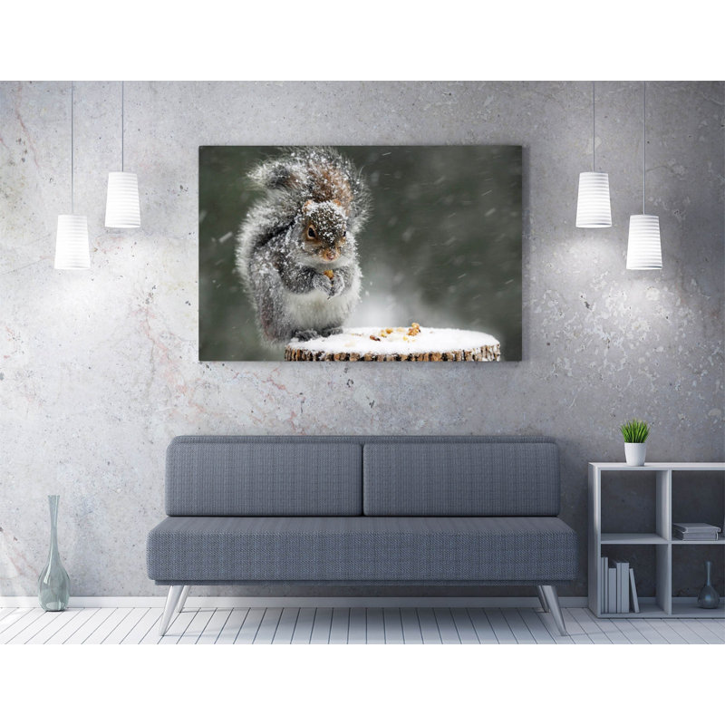 Grey Squirrel Canvas Wall Art Picture Print, 40.64cm H x 60.96cm W