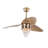 Frann 48'' Ceiling Fan with LED Lights