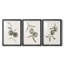 Twilight Oranges II - ensemble de 3 reproductions de cadres photo-69879030-69879026
