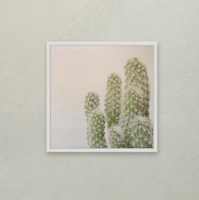 Cadre photo « fuzzy cactus », impression sur papier, H 12 po x l 12 po x P 1,5 po, Cadre blanc