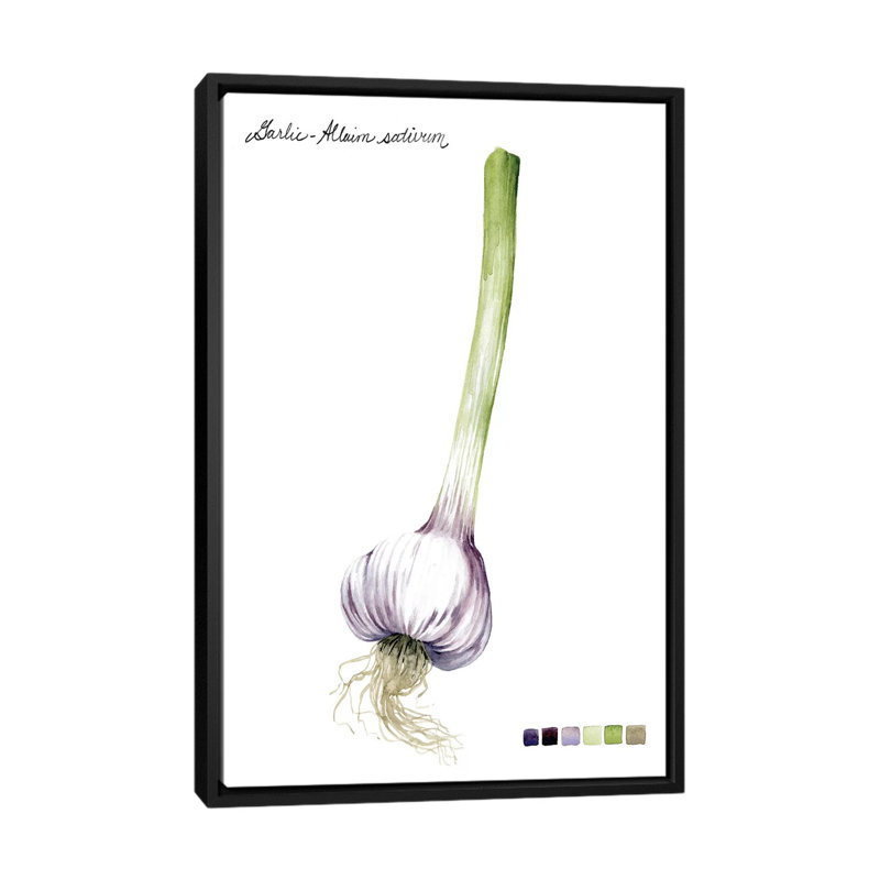 «Root Légume I», impression sur toile, H 26 po x l 18 po x P 1,5 po, Toile avec cadre flottant noir, Pas de tapis