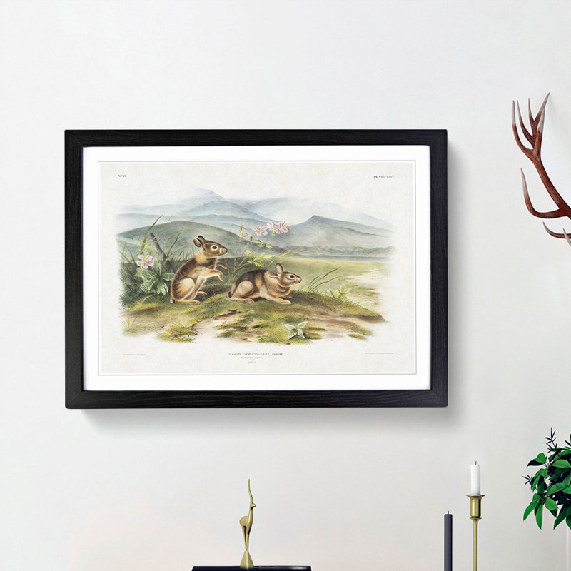 Two Hares by J.W. Audubon - Framed Print, 48cm H x 65cm W x 2cm D, Black Framed