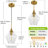 Casula Dimmable Chandeliers Height Adjustable Pendant Lighting-2102169595