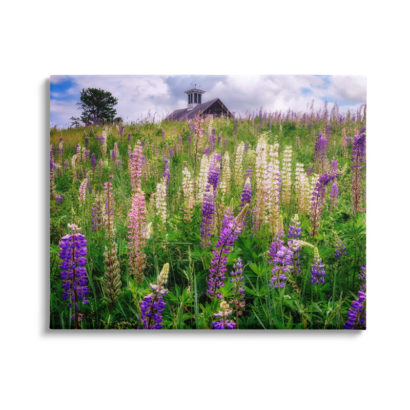 Champ de lavande sauvage par Sally Swatland - photographie, H 36 po x l 48 po x P 1,5 po, Toile tendue
