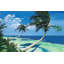 " Beckoning Palms " by Scott Westmoreland