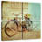 Mehar Vintage Delivery Bicycle