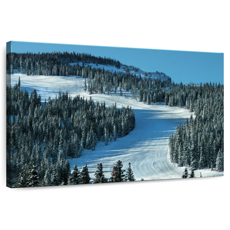 Piste de ski Alvord, H 30 po x l 45 po