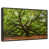 Floating Frame Black