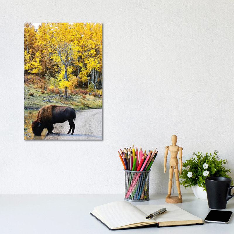 Thirsty Bison by Susan Vizvary - Wrapped Canvas Print, 20.32 cm H x 30.48 cm W