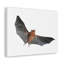Wall Art on Canvas-975134013