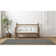 Joziah Indoor Rug