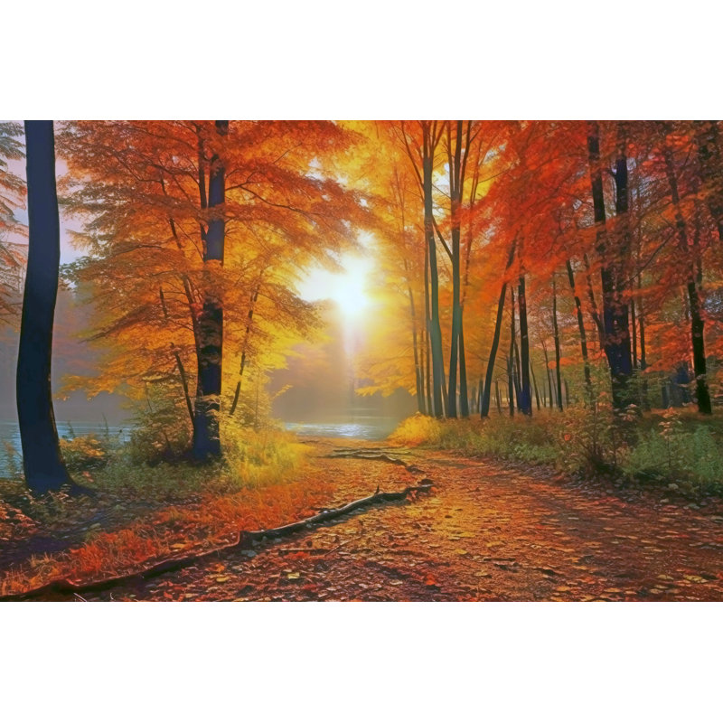 Sunlit Forest Glow Wrapped Canvas Wall Art, 12" H x 16" W