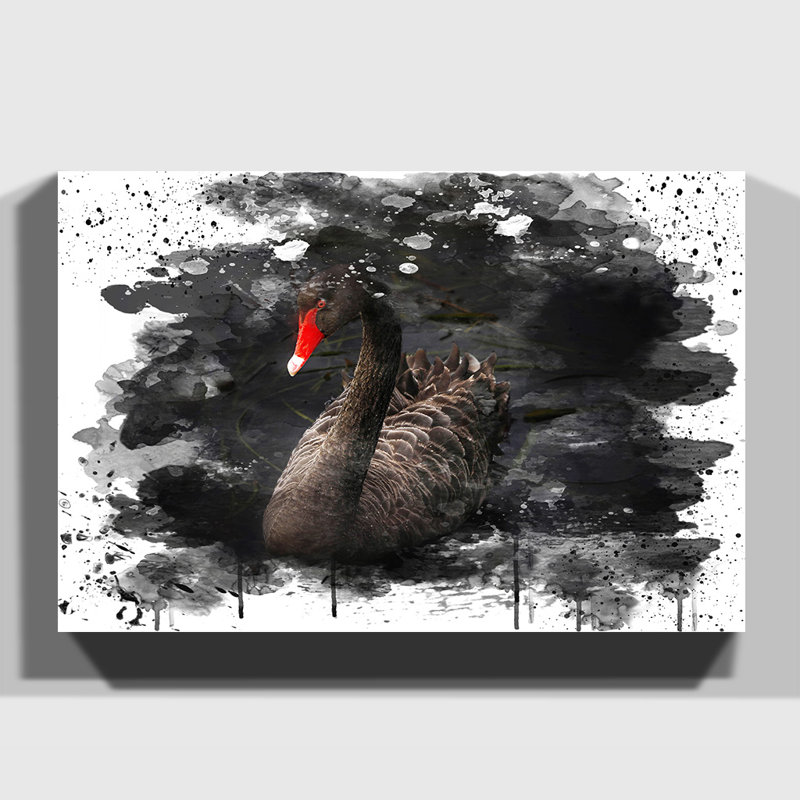 Black Swan - Wall Art, 50cm H x 76cm W, Wrapped Canvas