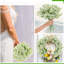 Fleurs, fleurs, bébés, buissons-396570836