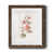 Papier, cadre noyer
