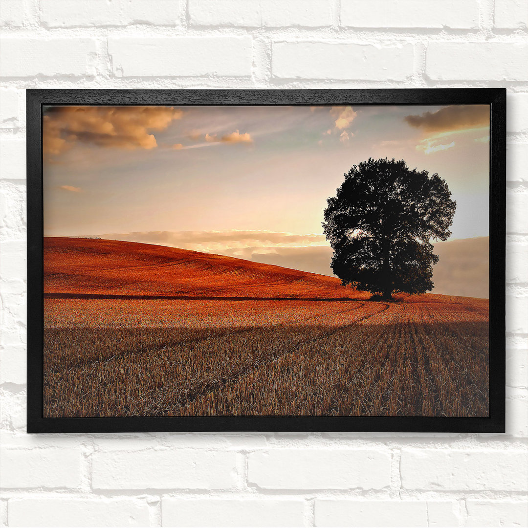 Einsamer Baum auf dem Feld Herbst Gerahmter Druck