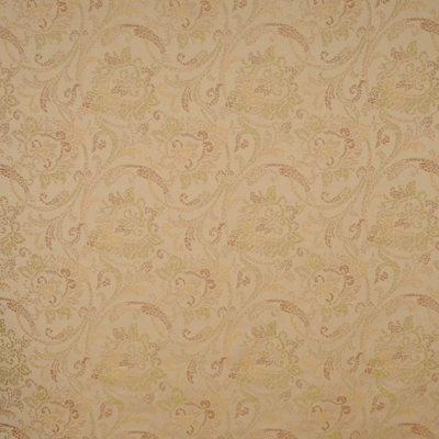 Allure Paisley Fabric