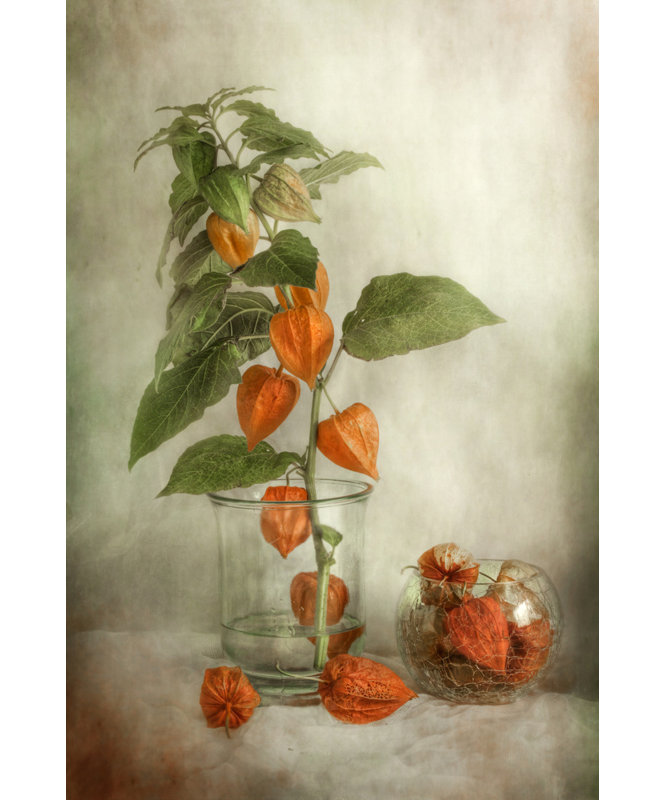 Wrapped Canvas Print, 91.44 cm H x 60.96 cm W