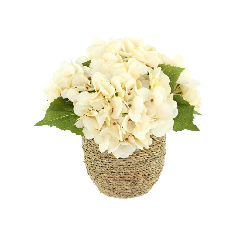 Arrangement floral d'hortensias d'automne Carytown, Crème, crème