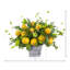 Arrangement floral citron en pot