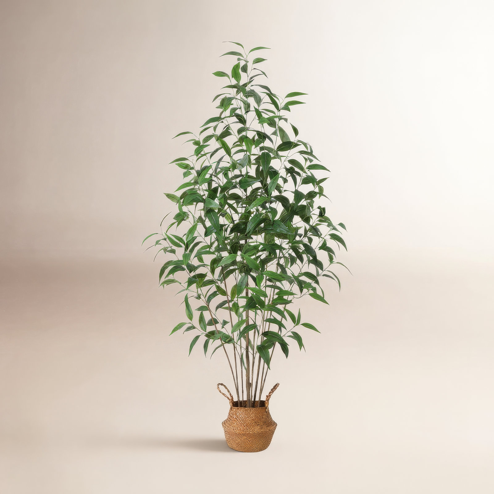 Adcock Artificial Eucalyptus Tree in Basket, 70"H x 23" W x 23" D, 1