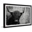Angus The Highland Cow - Single Picture Frame Print-924676206