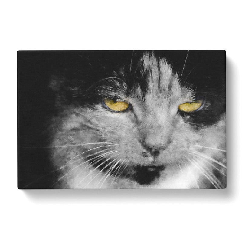 Portrait of a Cat Vol.4 - Wrapped Canvas Graphic Art, 50cm H x 76cm W x 3cm D