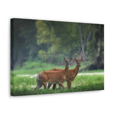 No Frame Print on Canvas