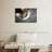 A Cat-107524427