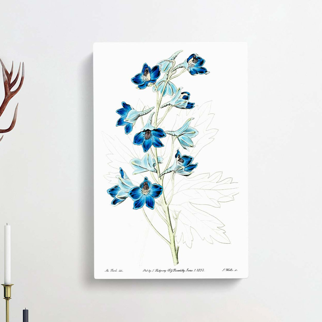 Blue Larkspur Flowers - Wrapped Canvas