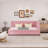 Daybed with Trundle Twin Size Sofa Bed-1950348398