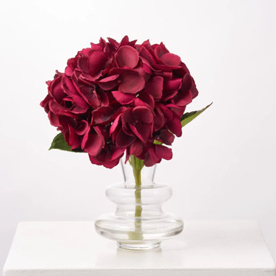 Arrangement de fleurs d'hortensia simple bourgogne