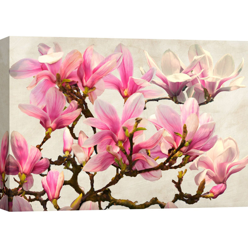 Magnolia Branch (Neutral) by Luca Villa - Wrapped Canvas Art Prints, 70cm H x 100cm W x 4cm D