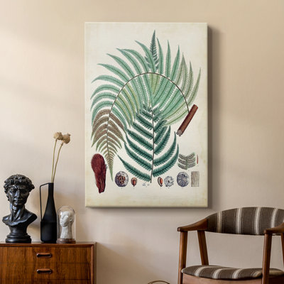 Collection de fougères I - galerie sur mesure